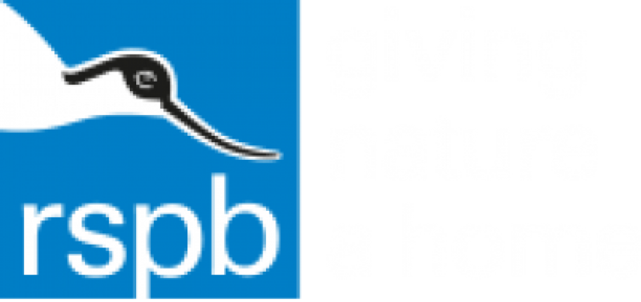 RSPB Big Garden Birdwatch